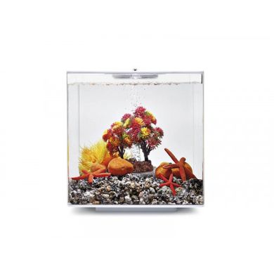 Комплект декора к аквариуму на 15 л, осень - 55024