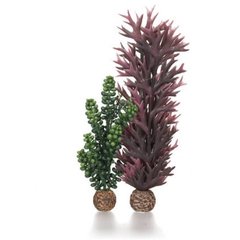 biOrb Морские водоросли, бурые и темно-зеленые - 55074